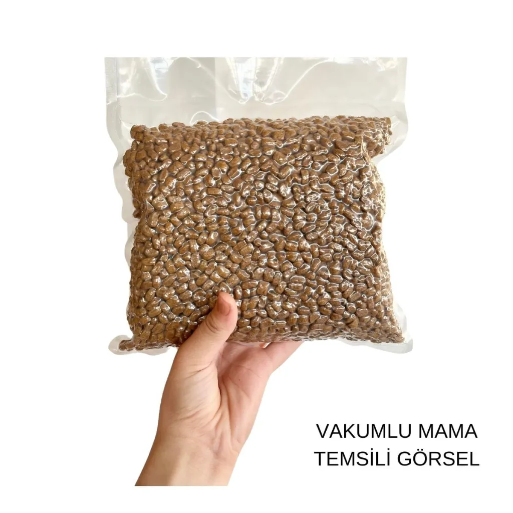 vakum.webp